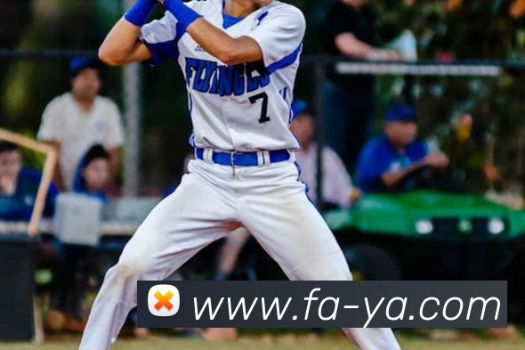 bob娱乐官方网站发展历程